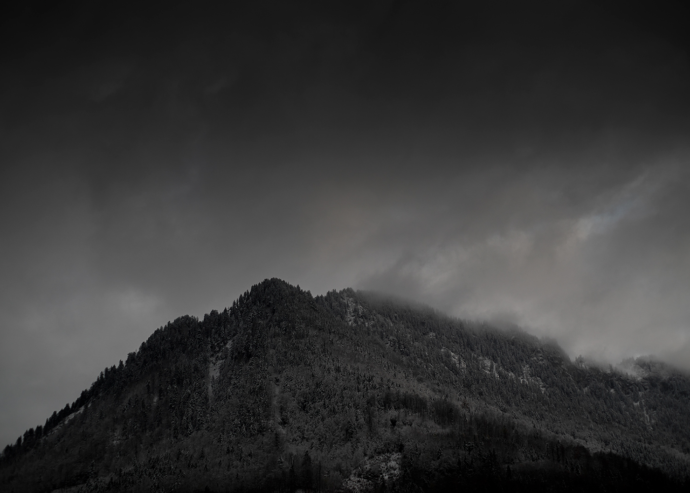 Entry 141649 in SWISS by DigitalMind