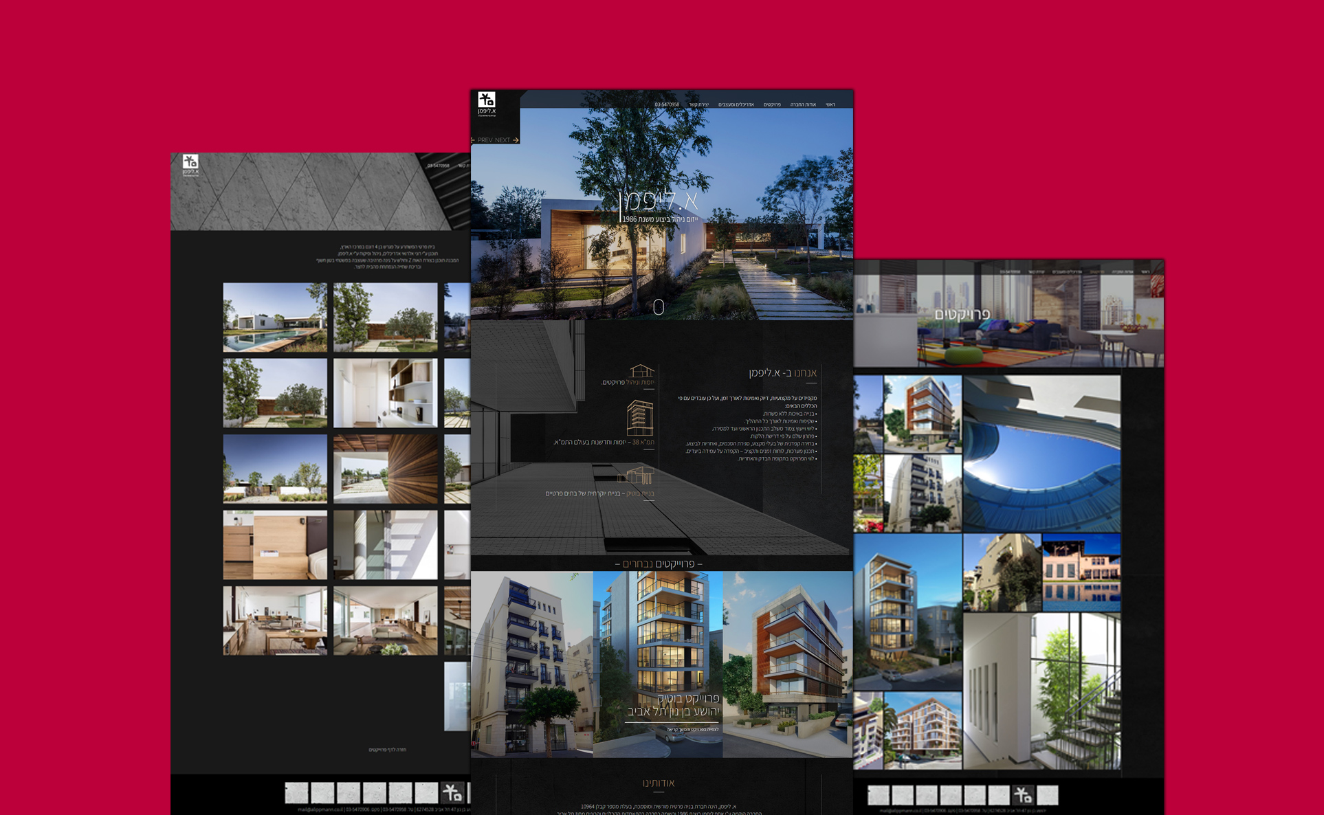 Entry 255030 in Portfolio by דולב