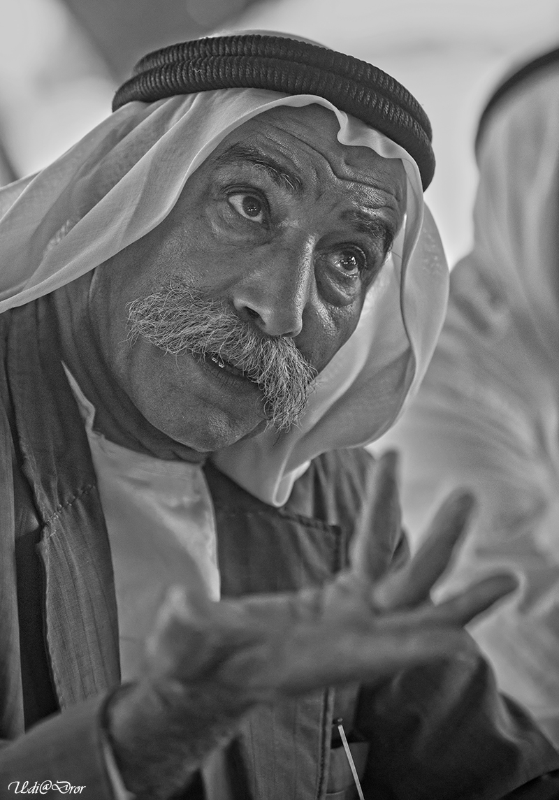 Entry 209448 in Portfolio by Udi Dror Photography