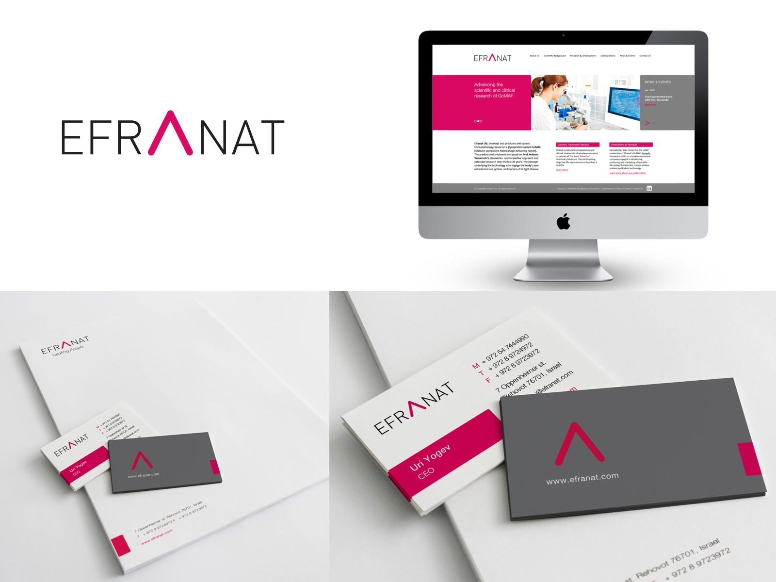 Entry 74942 in Portfolio by ORIT PELEG KAMIL