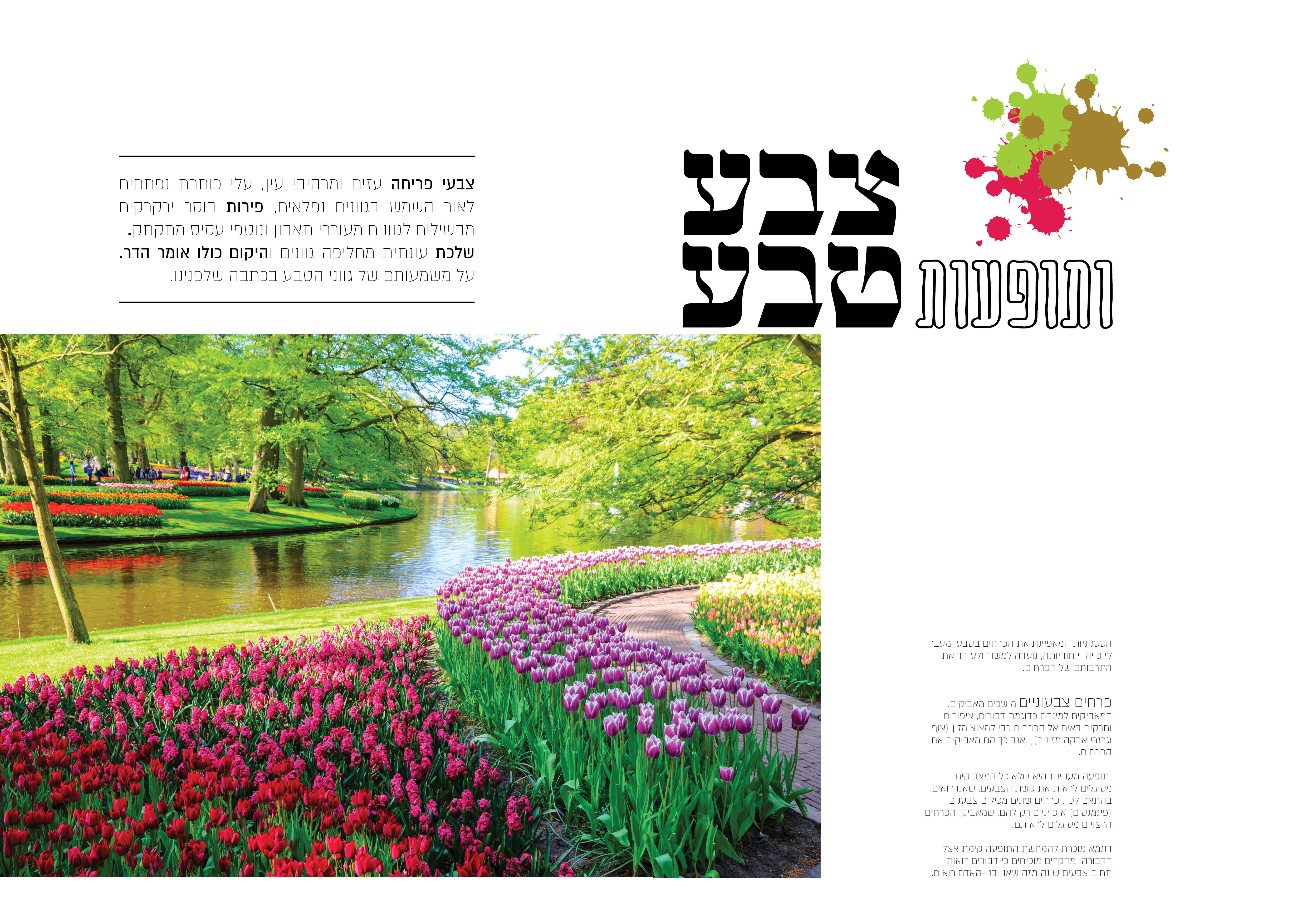 Entry 156513 in מגזין צבע by #SHULAMIT