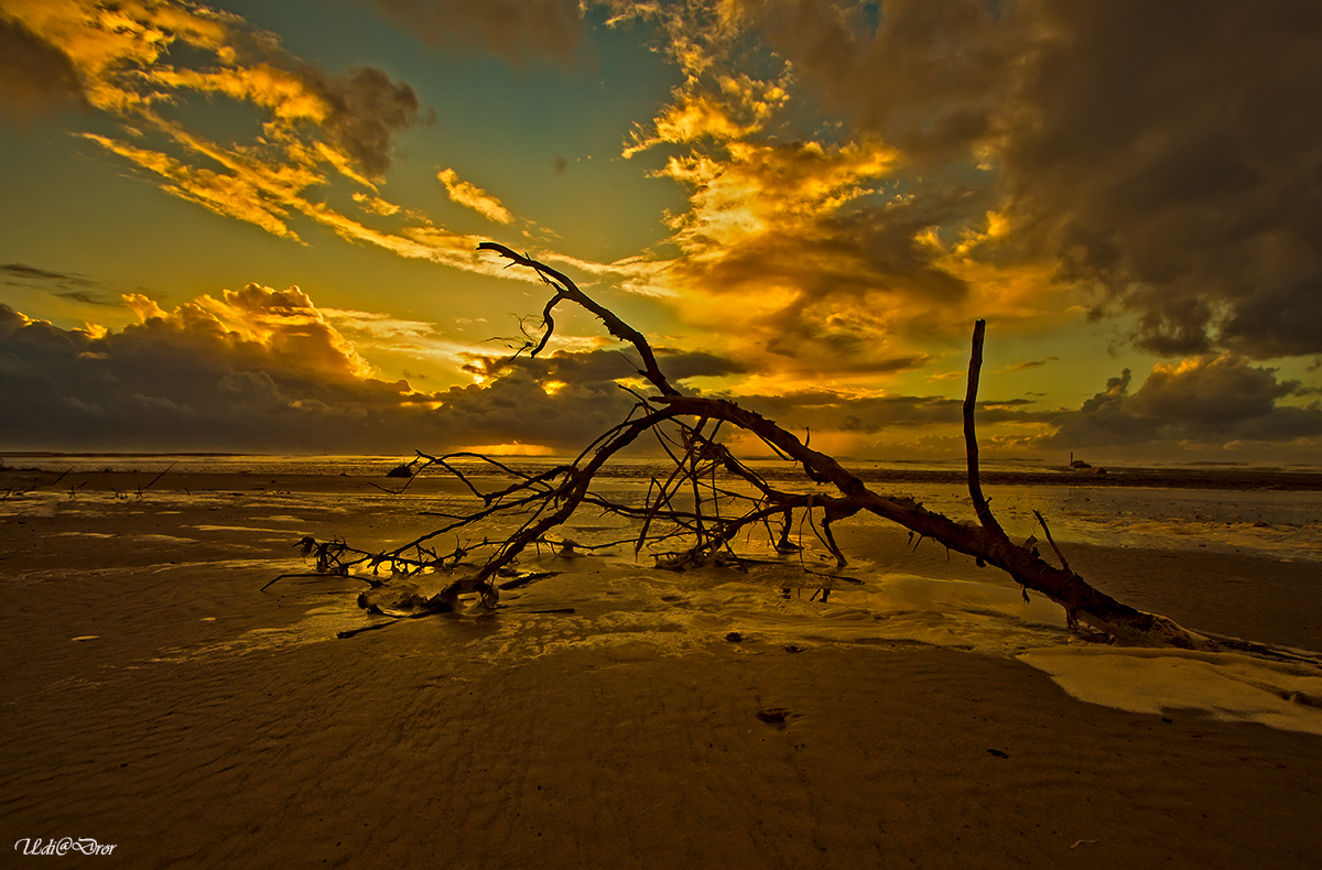 Entry 209478 in Portfolio by Udi Dror Photography