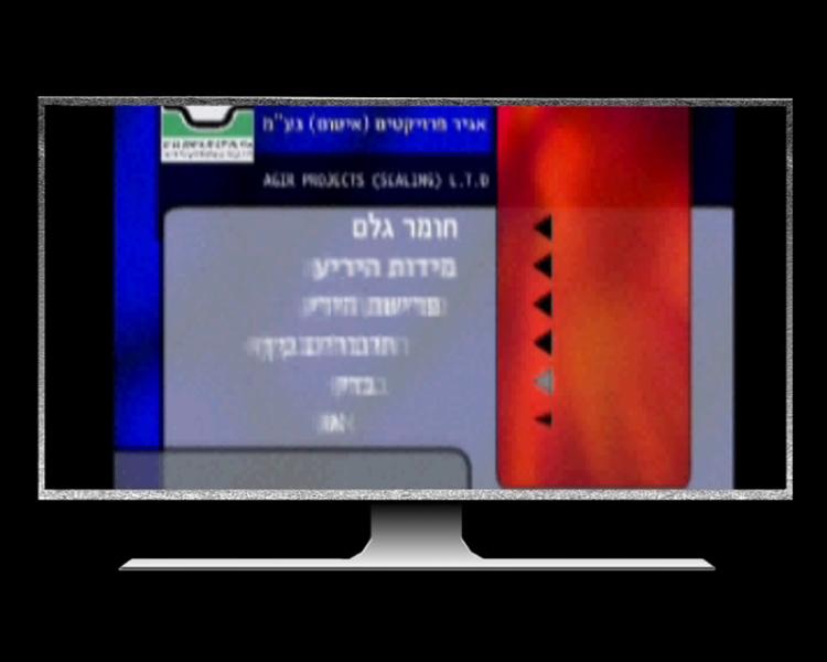 Entry 12527 in Portfolio by אלון לובנפלד, עורך וידאו