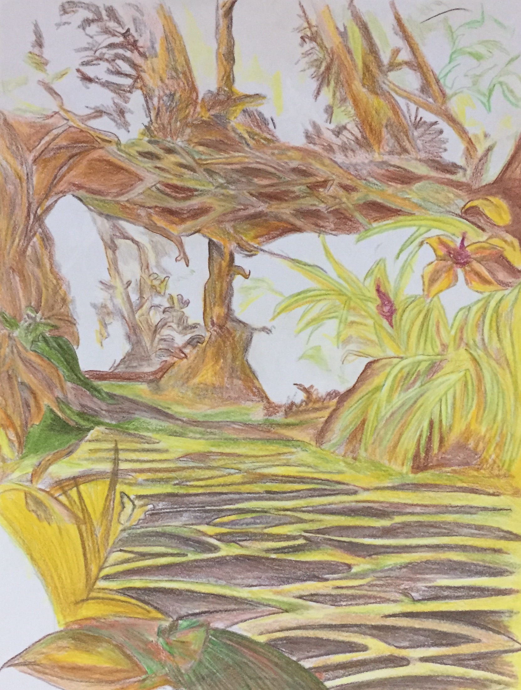 Entry 159739 in Portfolio by נועם עטר Art&Design
