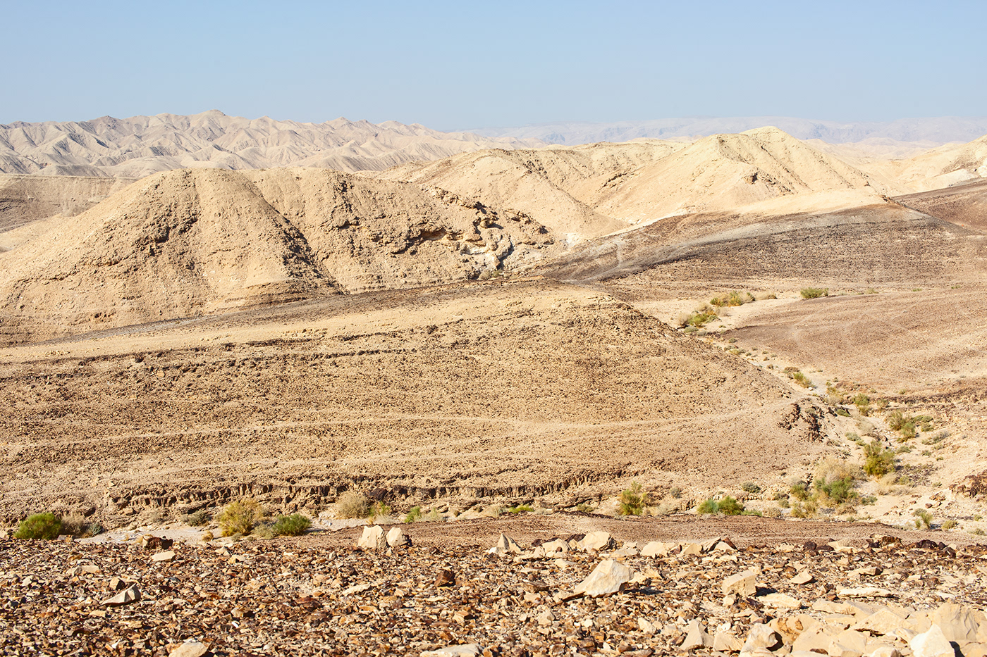 Entry 199897 in The Negev Desert: from a sunrise to the Dead Sea by Sofia Feiguelman