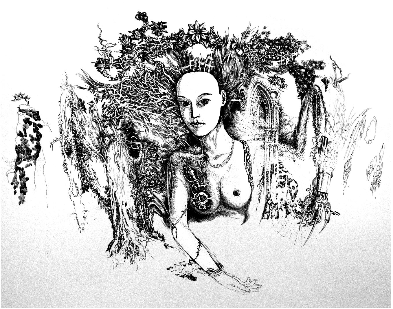 Entry 71452 in Portfolio by Shlomon Rudich