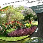 Open Zoomed Related Entry פליירים