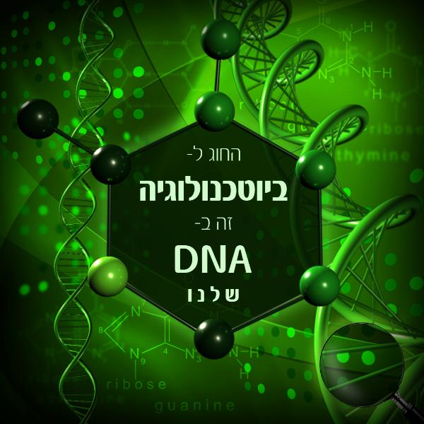 Entry 37975 in Portfolio by סמדר ליבנה