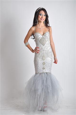 Entry 30682 in Portfolio by טל כהן צלם