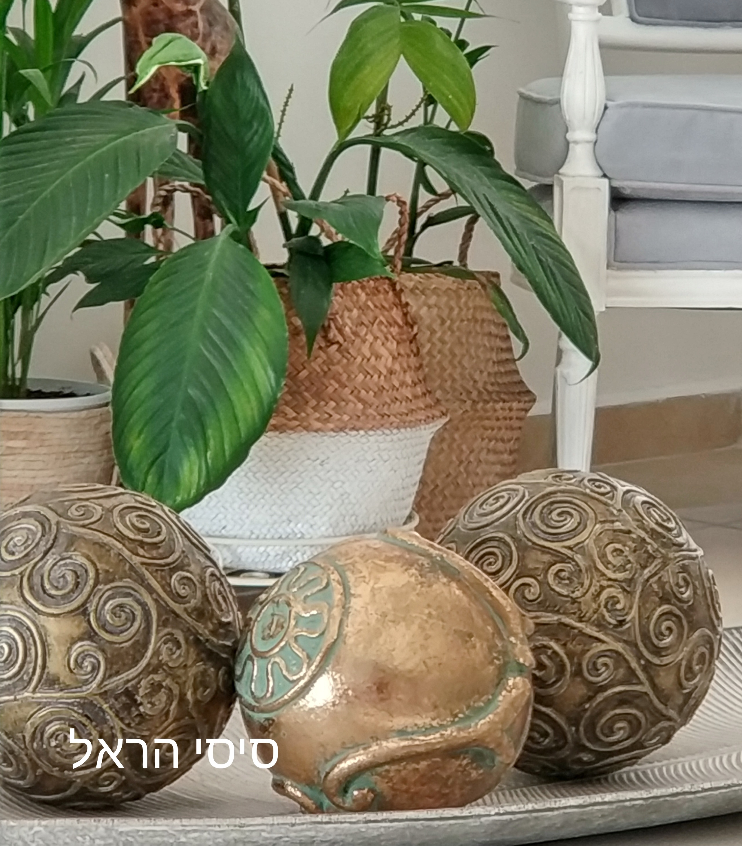 Entry 216830 in Portfolio by עיצוב עם סיסי