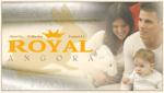 Open Zoomed Related Entry אתר הבית ROYAL ANGORA