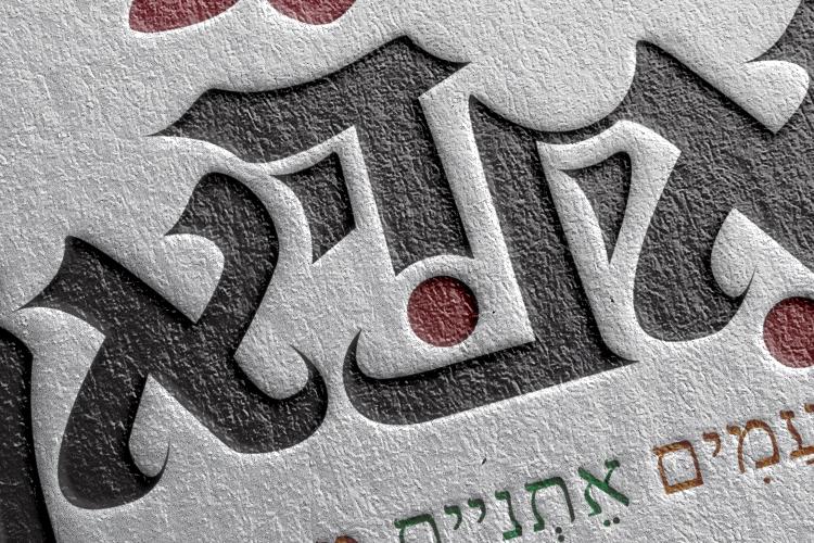 Open Zoomed Related Entry לוגו.jpg