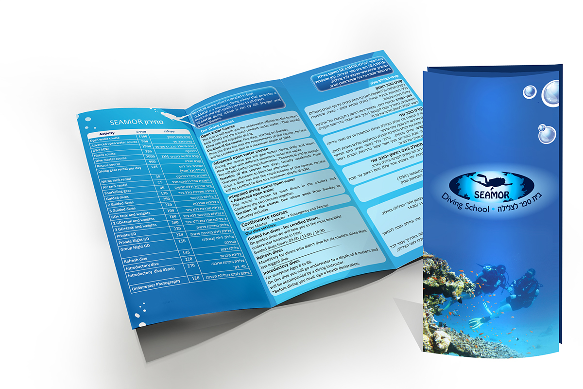 Entry 137864 in Flyer Design Diving by point