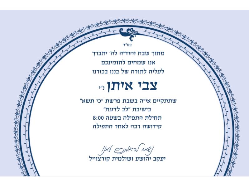 Entry 44839 in Portfolio by נקודה טובה