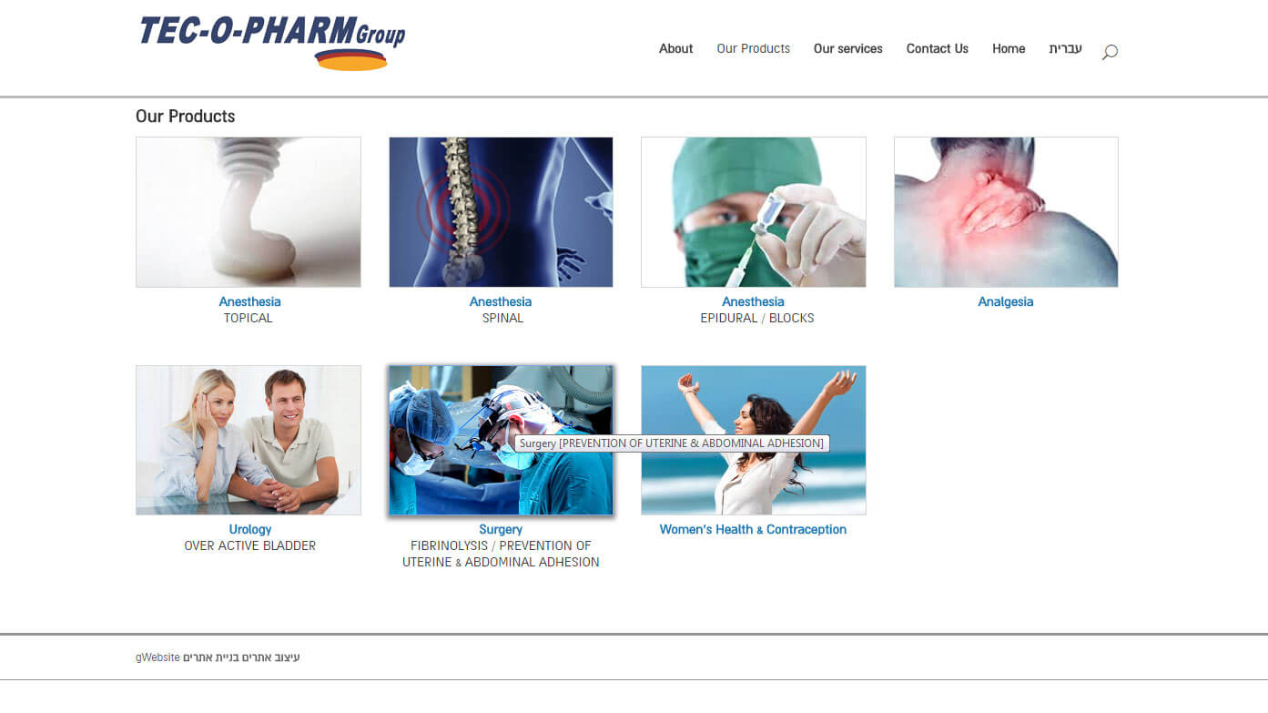 Entry 102503 in Portfolio by gWebSite