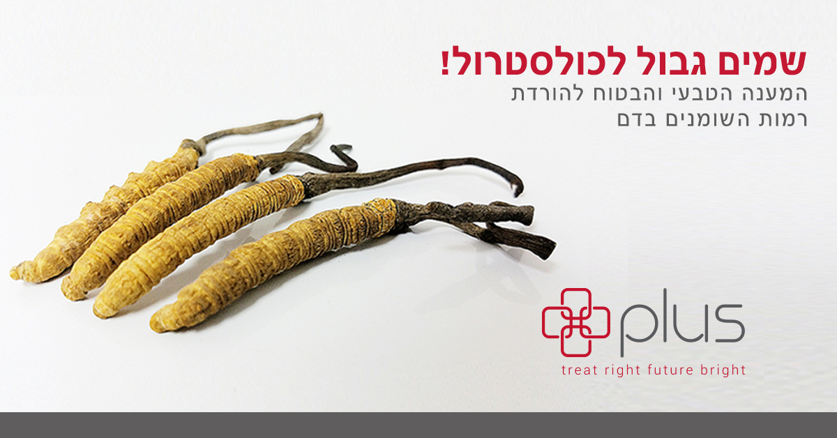 Entry 147746 in צמחי מרפא by דנה דרבינסקי - כתיבה, סושיאל, עריכה, הובלת פרויקטי תוכן