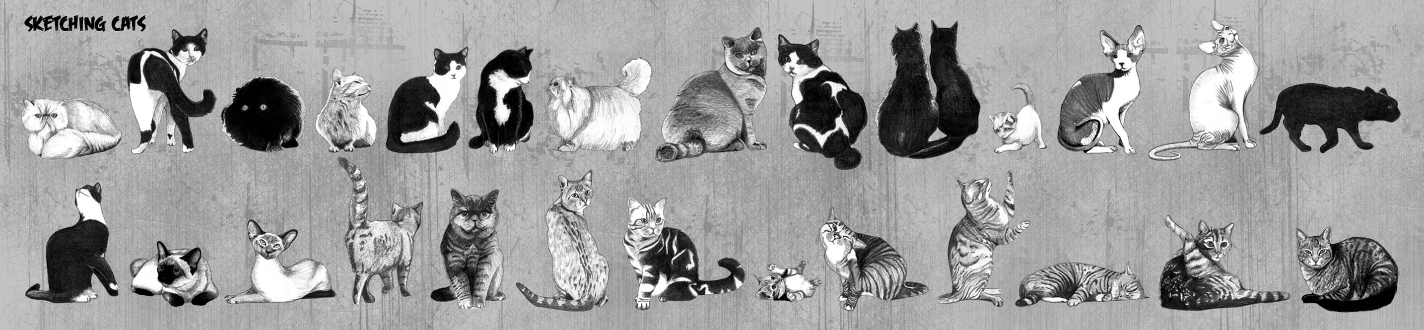 Entry 142824 in Portfolio by Norcha