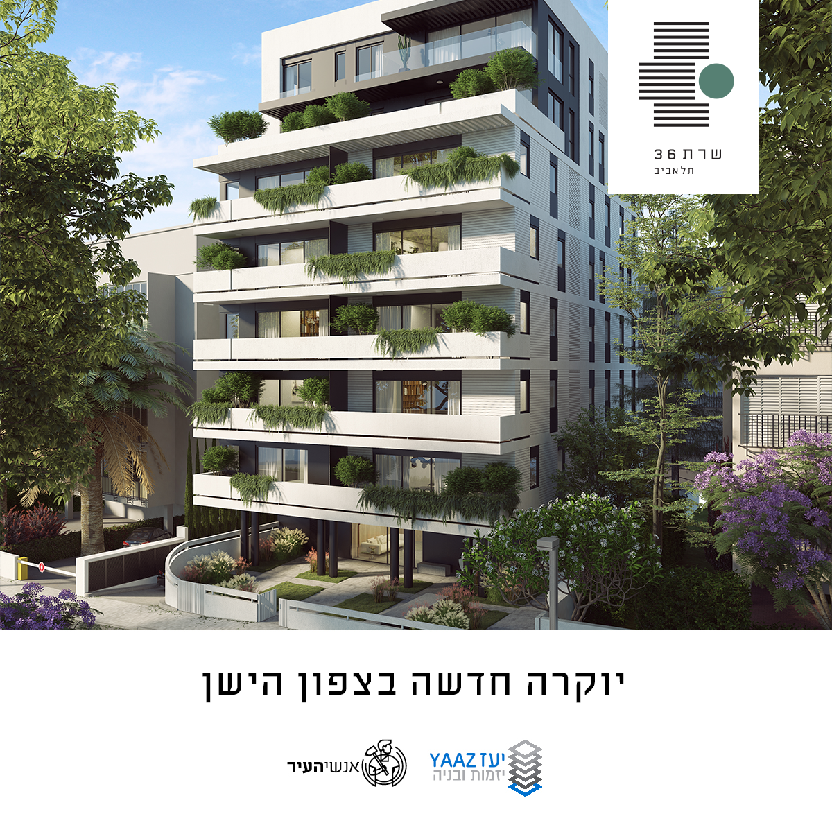 Entry 338016 in Portfolio by Gal Perets