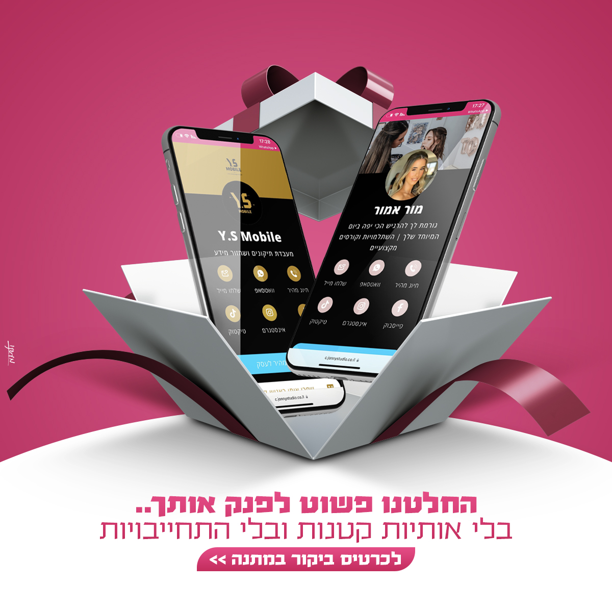 Entry 285496 in Portfolio by מעשינו