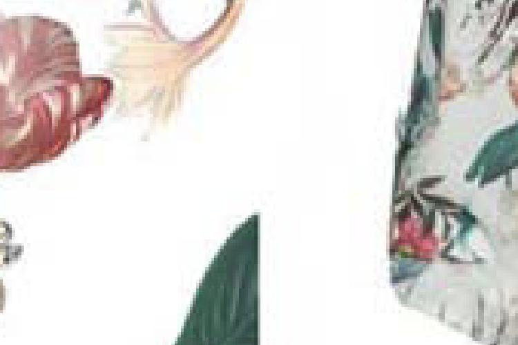 Open Zoomed Related Entry עיצוב פאטרן