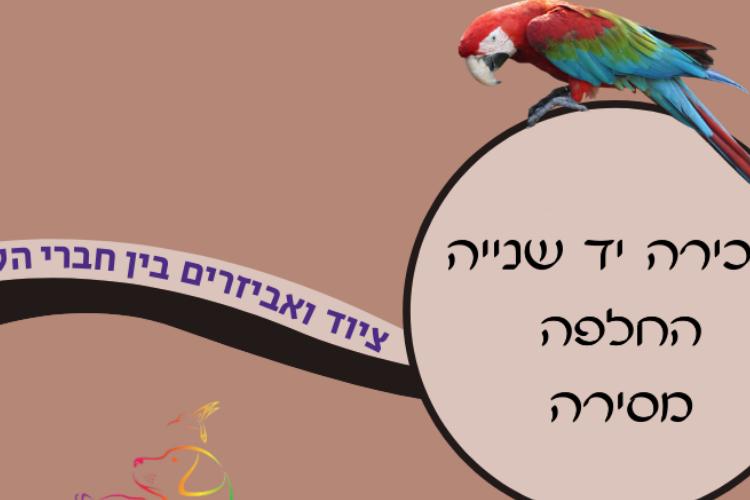 Open Entry 283112 in אפרת סימון- עיצוב לסושיאל by מירב טל CREATION