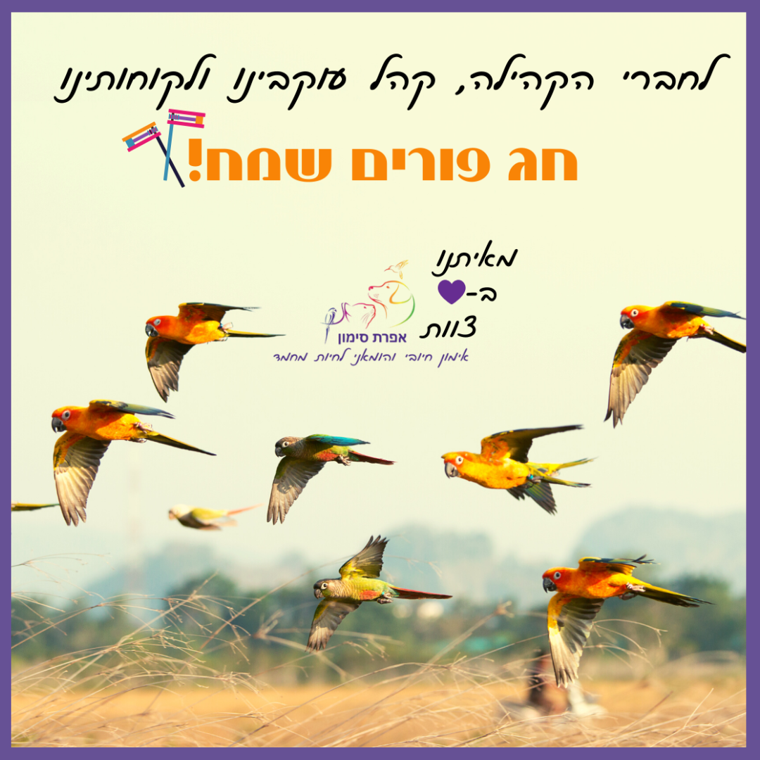 Entry 283105 in אפרת סימון- עיצוב לסושיאל by מירב טל CREATION
