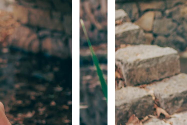 Open Zoomed Related Entry 15.jpg