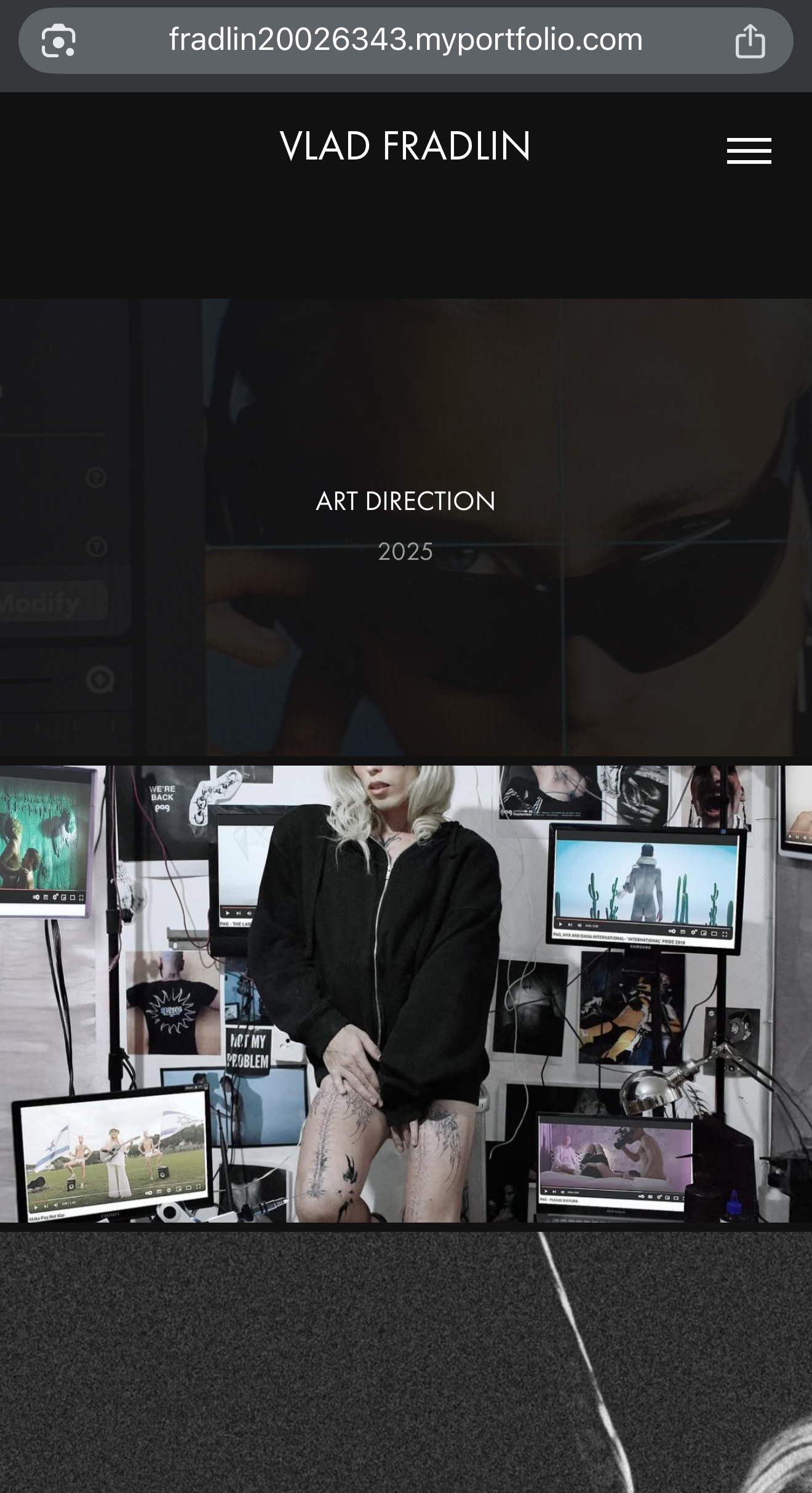 Entry 336506 in Portfolio by Vlad.fradlin