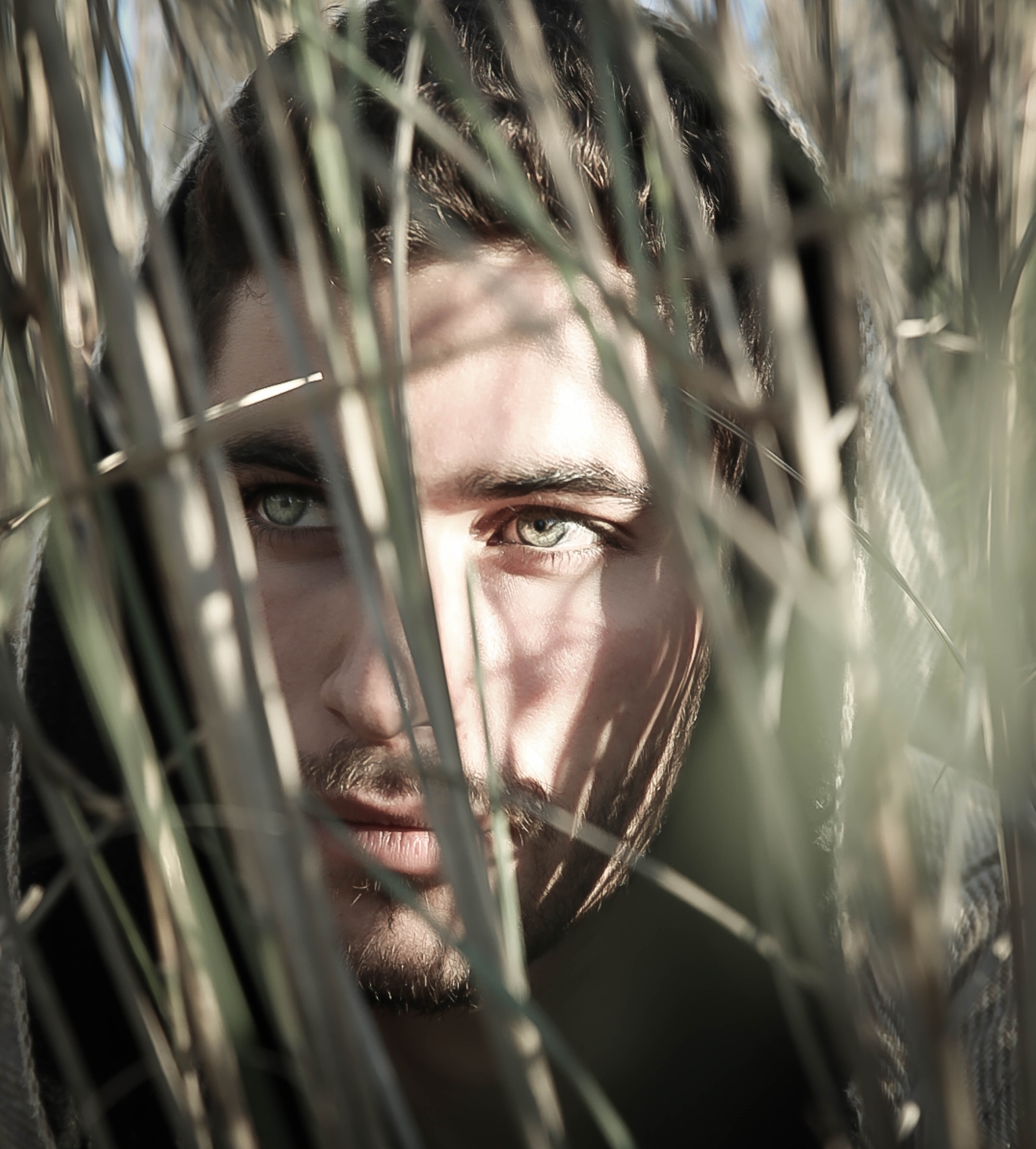 Entry 318525 in Portfolio by Maya Barak