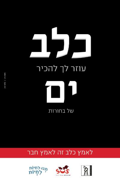 Entry 49162 in Portfolio by תיאטרון התוכן של אלעד