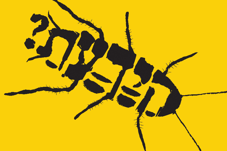 Open Zoomed Related Entry jok.jpg