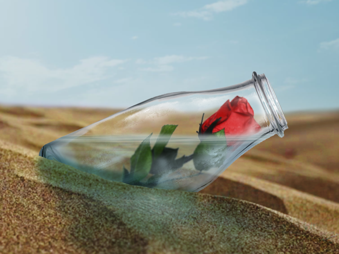 Entry 215882 in Portfolio by Noa The Artist