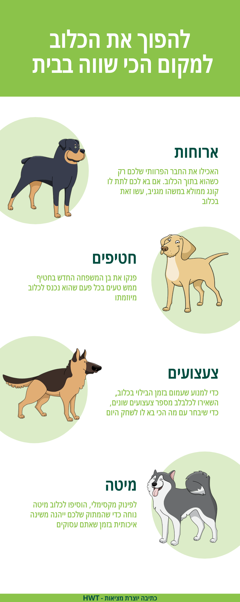 Entry 211889 in Portfolio by רינה נייגובזין‬‎