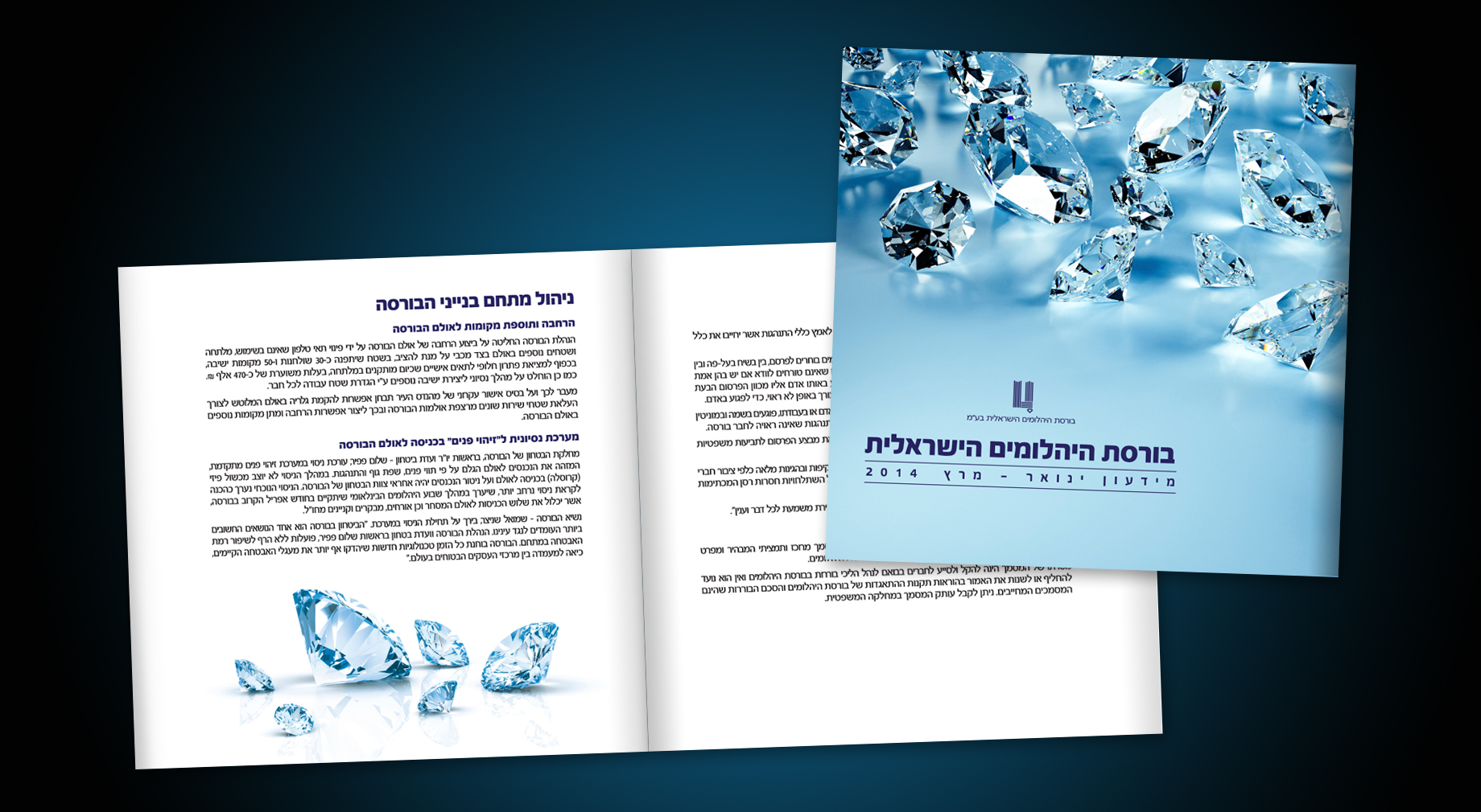 Entry 137285 in Portfolio by גדי פוליטי