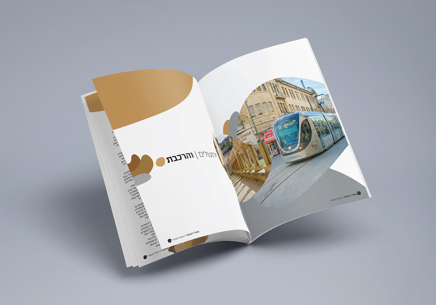 Entry 220781 in Light Rail Magazine by אביה זוביב