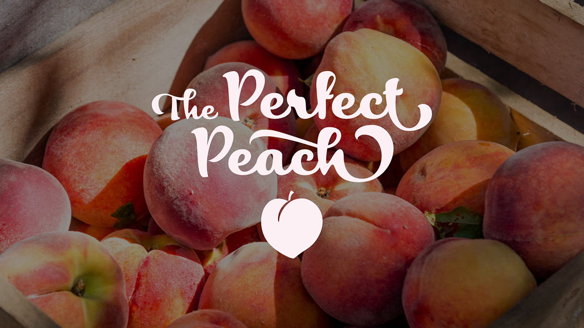Entry 268253 in The Perfect Peach Logo Design by Linushka Design