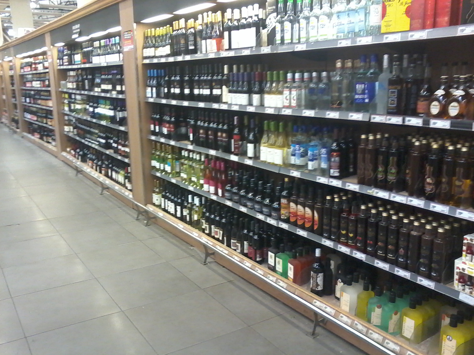 Entry 223288 in Portfolio by שערי רווחה