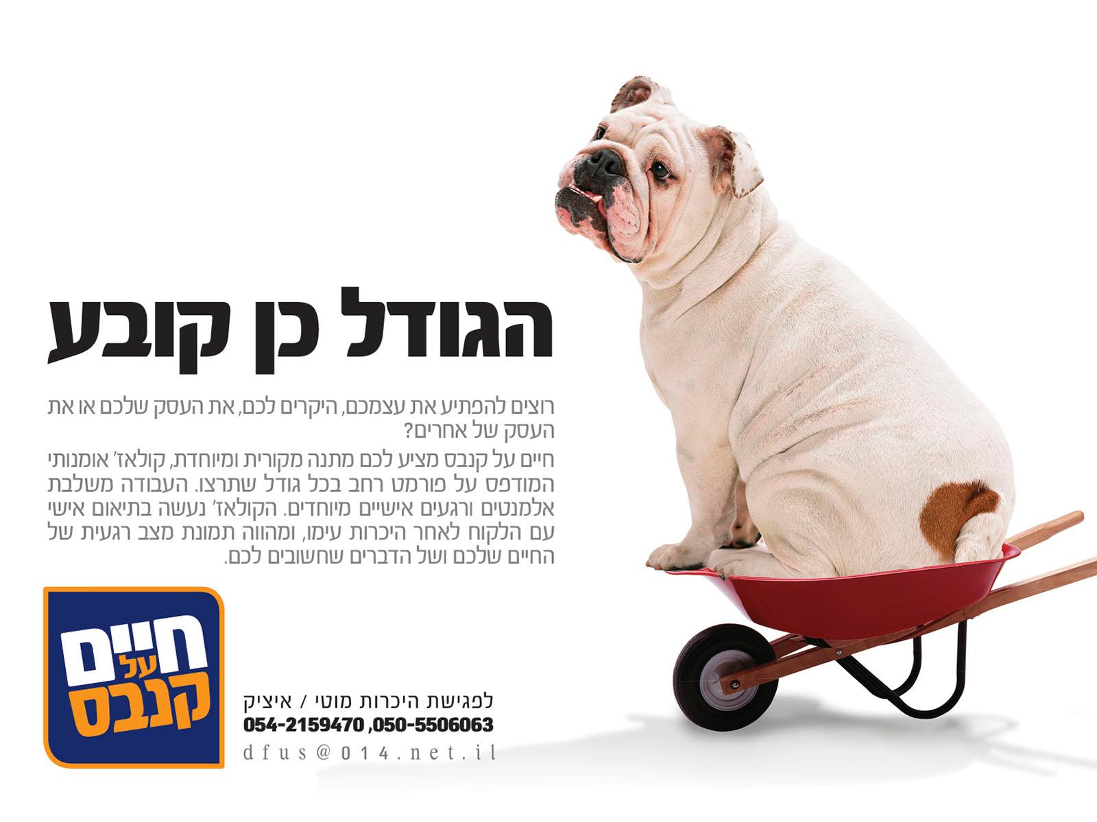 Entry 63796 in Portfolio by עסק משפחתי