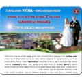 Open Zoomed Related Entry מייל קמפיין