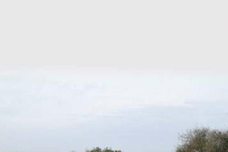 Open Zoomed Related Entry 1.jpg
