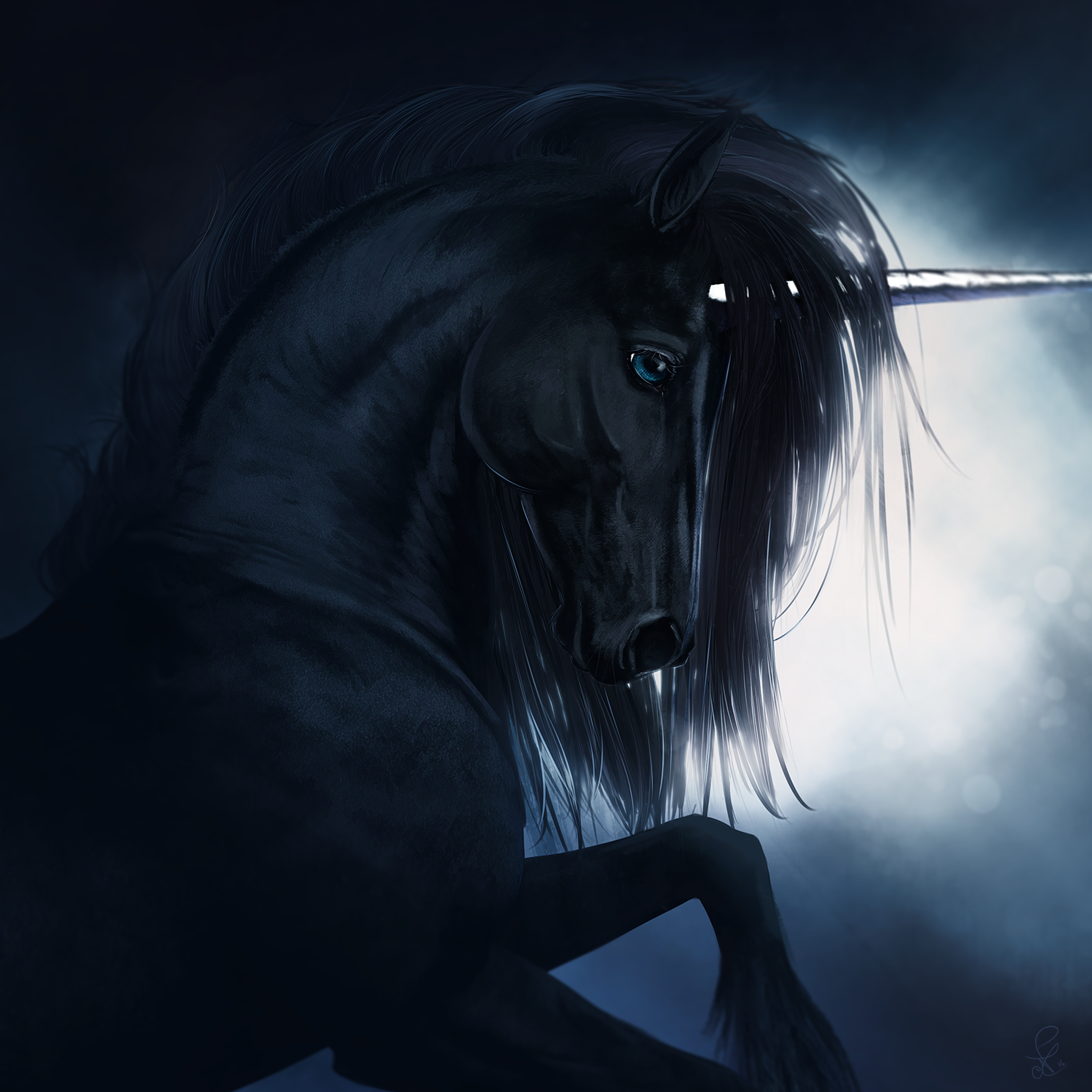 Entry 159406 in Portfolio by Nadia Calixto