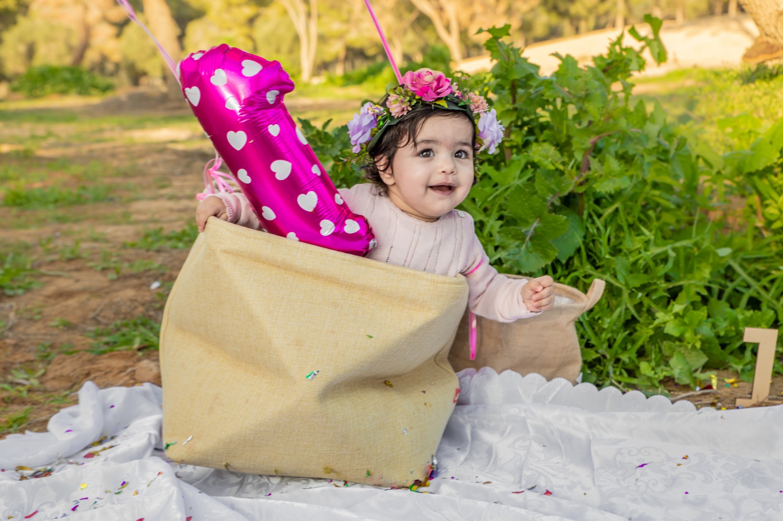 Entry 208409 in Portfolio by טליה זוויות