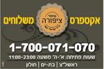 Open Zoomed Related Entry שיפודי ציפורה
