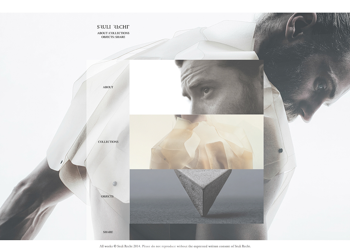 Entry 90100 in web design for designer sruli recht by אור נגר