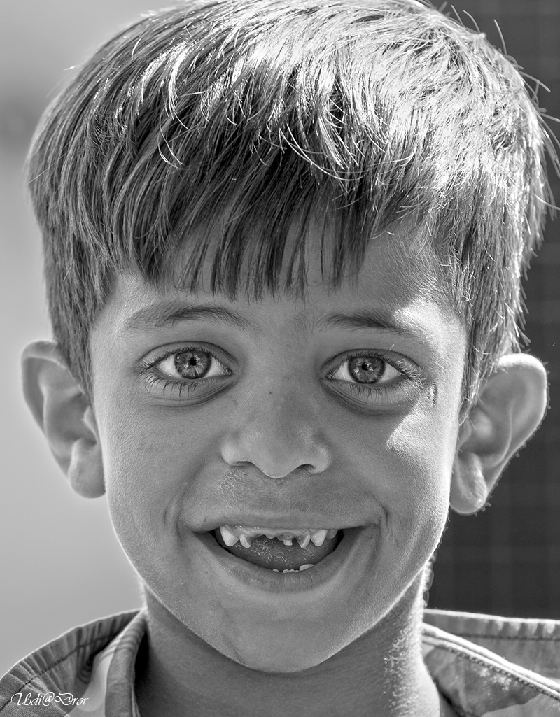Entry 209445 in Portfolio by Udi Dror Photography