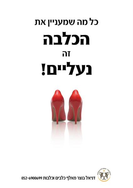 Entry 49157 in Portfolio by תיאטרון התוכן של אלעד