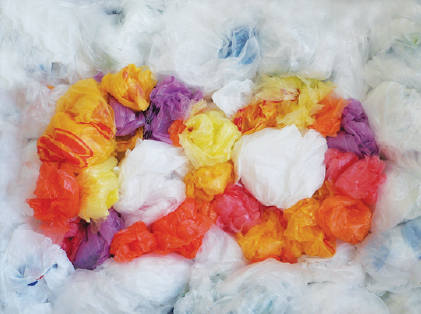 Entry 219692 in Directing Photography by Orel Daniel