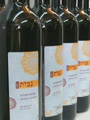 Entry 13743 in Portfolio by סטודיו לילך