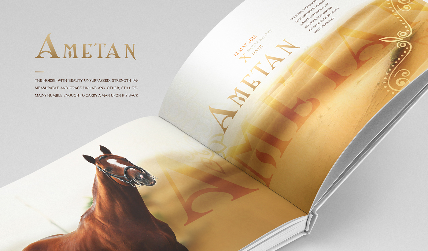 Entry 143066 in AL ASAYIL Catalogue by Haweya company