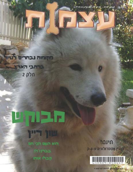 Entry 34922 in Portfolio by יעל צעידי